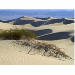 Sand Dunes Desert Photo Sculpture
