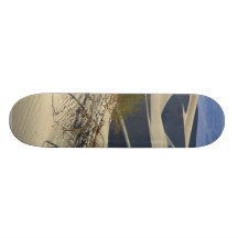Sand Dunes Desert Skate Board