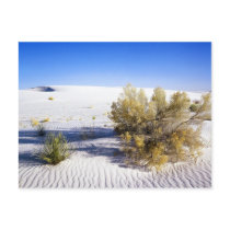 Sand Dunes in the jave Desert, California Postcards