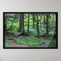 SAND DUNES PARK POSTERS