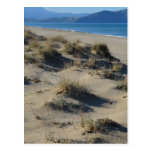 Sand Dunes Postcard