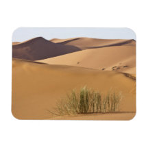 Sand dunes, Sahara desert, Morocco Rectangle Magnets
