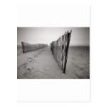 Sand Fence Postcard
