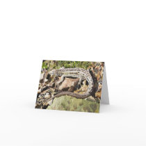 Sand Lizard Greeting and Note Cards