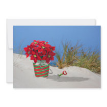 Sand Pail Pointsettia Plant
