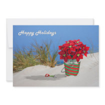 Sand Pail Pointsettia Plant