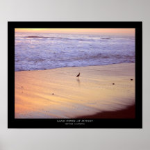 Sand Piper at Sunset : Ventura - California Posters