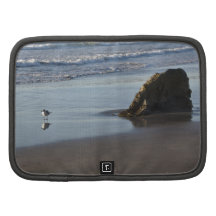 Sand Piper On The Beach Folio Planners