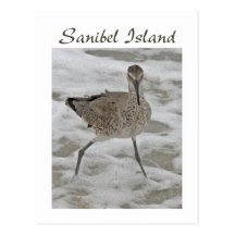 Sand Piper Sanibel Island Postcard