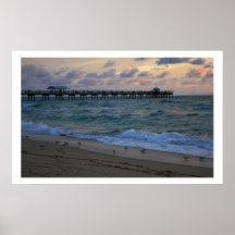 Sand Piper Sunrise Posters