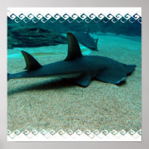 Sand Shark Poster