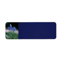 Sandbar Bluebonnets Return Address Labels