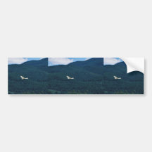 Sandhill Crane Bumper Sticker