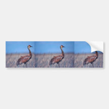 Sandhill Crane Bumper Sticker