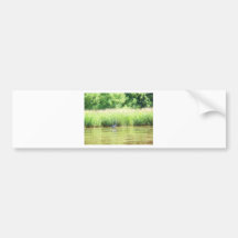 Sandhill crane bumper stickers