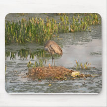 Sandhill Crane Family Mouse Pad