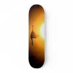 Sandhill Crane/Sun Skateboard