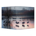 Sandhill Cranes at Dawn Avery Binder