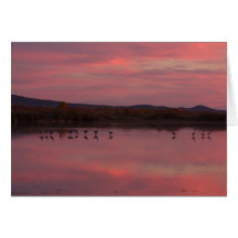 Sandhill Cranes at Sunset Bosque del Apache Greeting Card