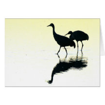 Sandhill Cranes Card