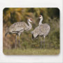 Sandhill Cranes Mouse Mats