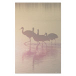 Sandhill Cranes Stationery