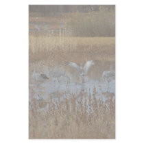 Sandhill Cranes Stationery