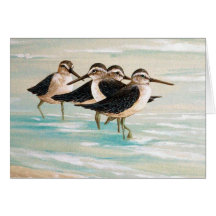 Sandpiper Family Greeting Card