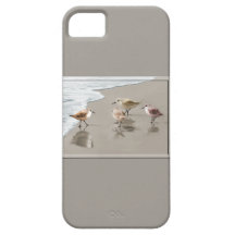 Sandpipers at the Shoreline