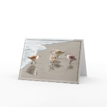Sandpipers at the Shoreline