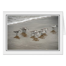 Sandpipers Greeting Card