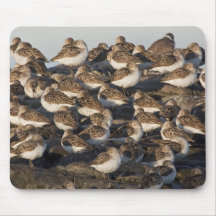 Sandpipers Mousepad