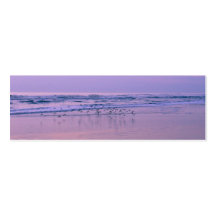 Sandpipers on the Beach at Sunrise Contact Cards Business Cards