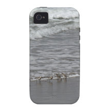 Sandpipers & Oregon Surf iPhone 4 Case