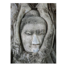 Sandstone head of Buddha surrounded by tree Post Cards