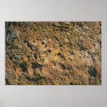Sandstone, Trinidad Posters