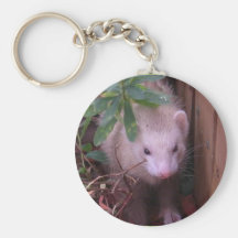 Sandy Ferret Keychains