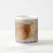 sandy, My diet starts Monday. Mugs