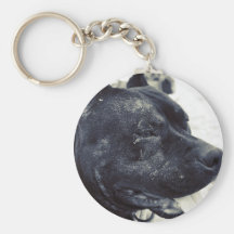 Sandy Pit Bull Keychains