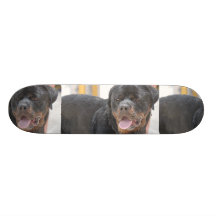 Sandy Rottweiller Skateboards