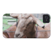 Sandy The Goat At The Gate iPhone 4 Case-Mate Case