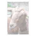 Sandy The Goat At The Gate Customized Stationery