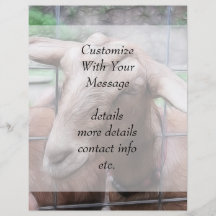Sandy The Goat At The Gate Flyers