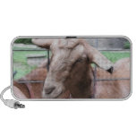 Sandy The Goat At The Gate Mp3 Speaker