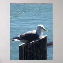 Sans titre posters