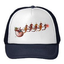Santa and Seahorse Sleigh Hat