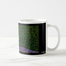 Santa Barbara Lilly Coffee Mug