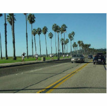 Santa Barbara Palmtrees Road Photo Cut Out
