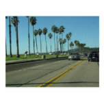 Santa Barbara Palmtrees Road Post Card