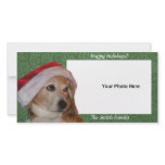 Santa Beagle Photo Card